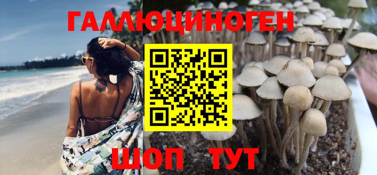 Семилуки  Псилоцибиновые грибы Cubensis  Вход с VPN 